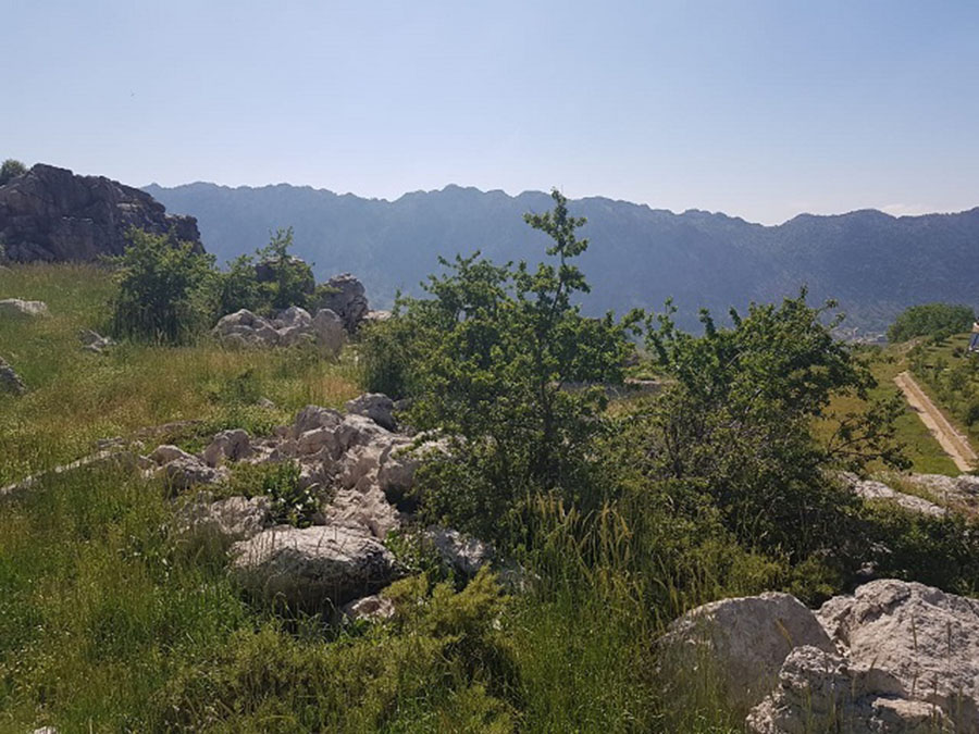 Land for Sale Tannourine El Faouqa ( Laqlouq ) batroun Area 1756Sqm 